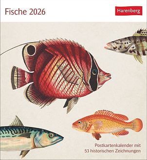 Größeres Bild anzeigen