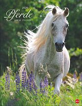 Pferde Classics Posterkalender