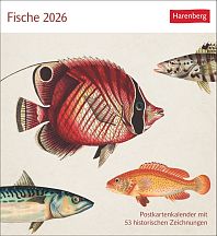 Fische Postkartenkalender
