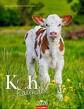 Kuh