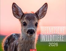 Heimische Wildtiere