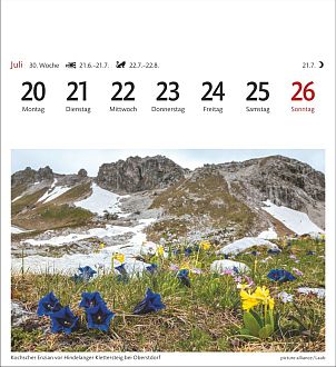 Größeres Bild anzeigen