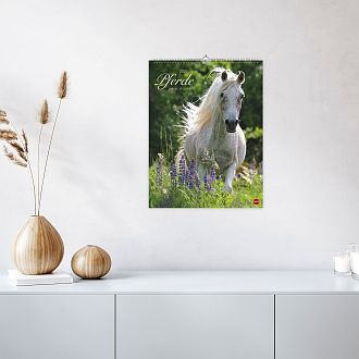 Größeres Bild anzeigen