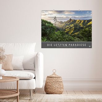 Größeres Bild anzeigen