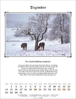 Größeres Bild anzeigen