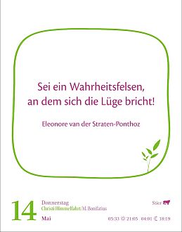 Größeres Bild anzeigen