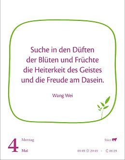 Größeres Bild anzeigen