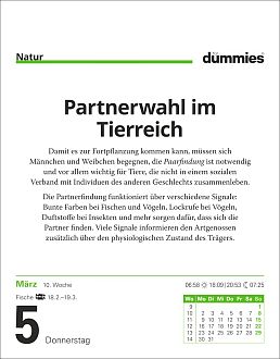 Größeres Bild anzeigen