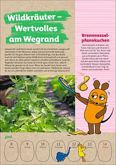 Größeres Bild anzeigen