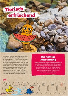 Größeres Bild anzeigen
