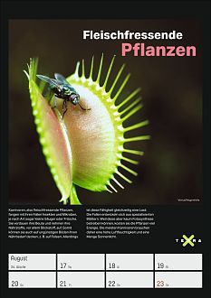 Größeres Bild anzeigen