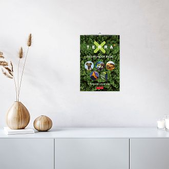 Größeres Bild anzeigen