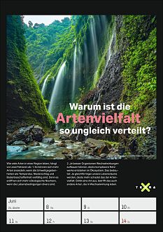 Größeres Bild anzeigen