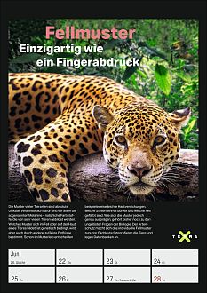 Größeres Bild anzeigen