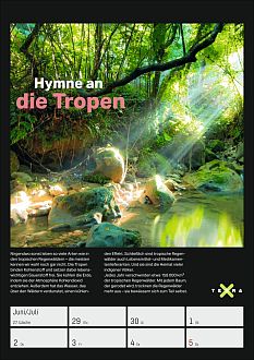 Größeres Bild anzeigen