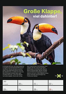 Größeres Bild anzeigen