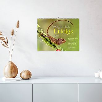 Größeres Bild anzeigen