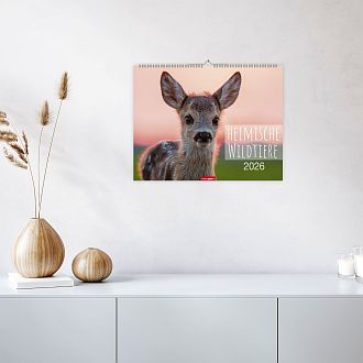 Größeres Bild anzeigen