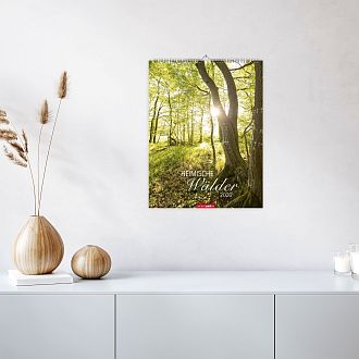 Größeres Bild anzeigen